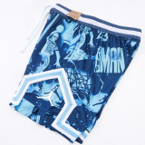 C2524 Jordan Casual Short Pants 夕阳蓝
