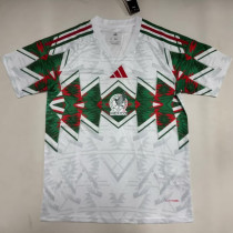 2026/27 Mexico Special Edition Fans Soccer Jersey