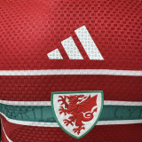2026/27 Wales Home Red Player Version Soccer Jersey