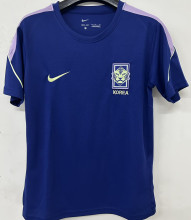 2026/27 South Korea Training Fans Soccer Jersey