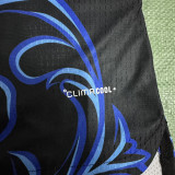 2026/27 Argentina Away Player Version Long Sleeve Soccer Jersey    长袖