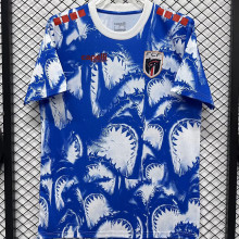 2026/27 Cabo Verde Special Edition Fans Soccer Jersey 佛得角