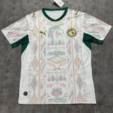 2026/27 Senegal Home White Fans Soccer Jersey (Have Right Patch 有右臂章 黑底白字）