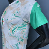 2026/27 Algeria Special Edition Player Version Soccer Jersey