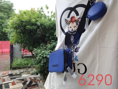 C*oach Top Bag 20*12*5CM