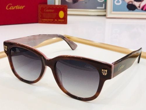 C*artier Glasses Top