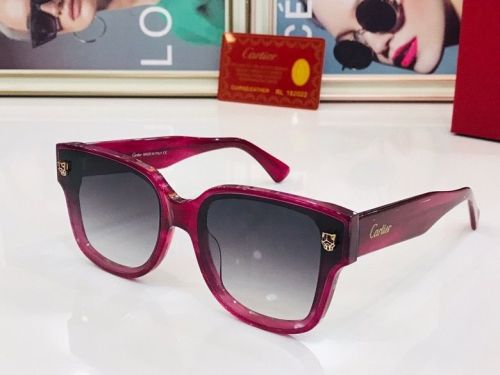 C*artier Glasses Top
