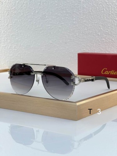 C*artier Glasses Top Quality
