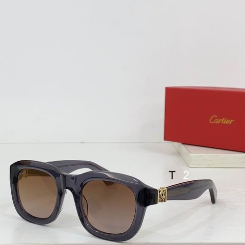 C*artier Glasses Top Quality