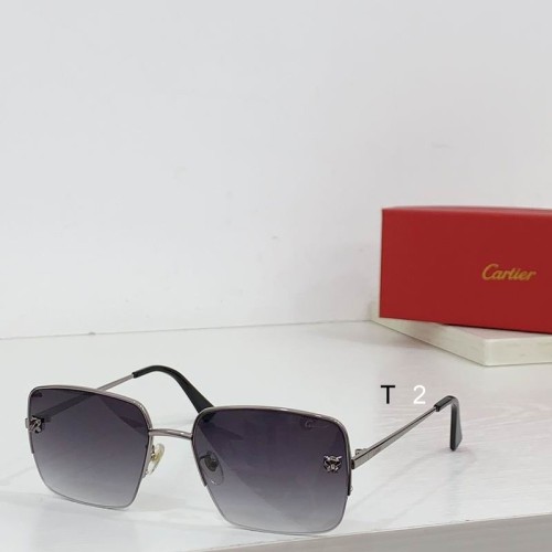 C*artier Glasses Top Quality