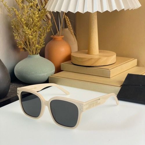 Top Quality D*ior Glasses