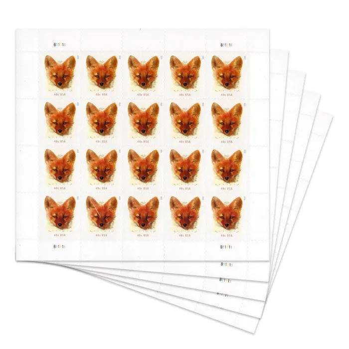 Red Fox