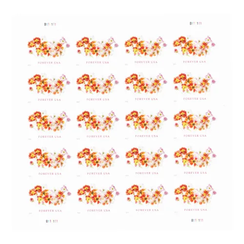 Tulips 2022