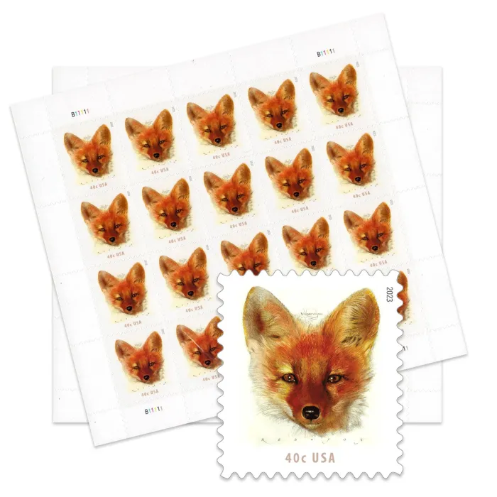 Red Fox