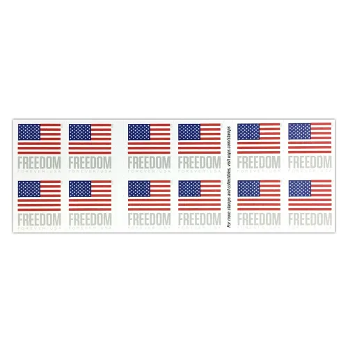 U.S. Flag 2023