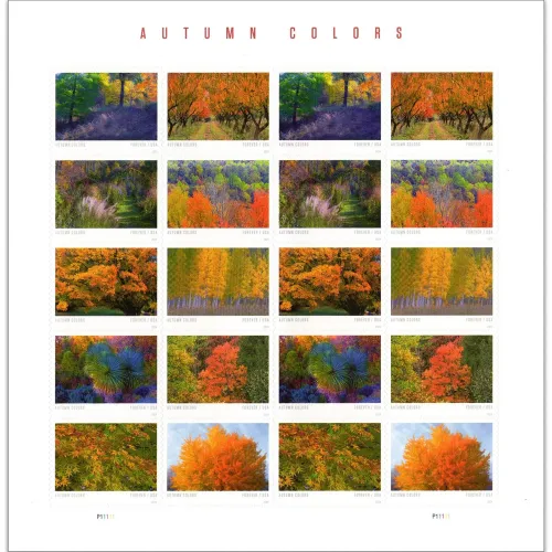 Autumn Colors
