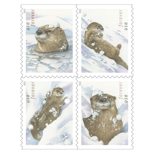 Otters In Snow