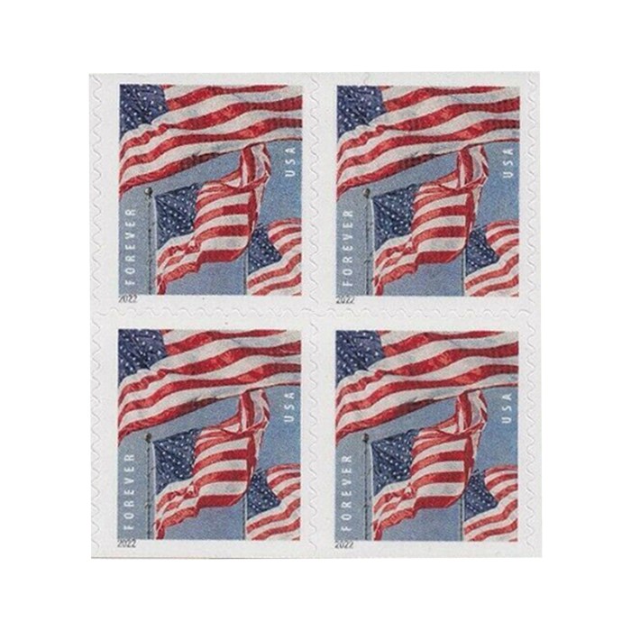 U.S. Flag 2022