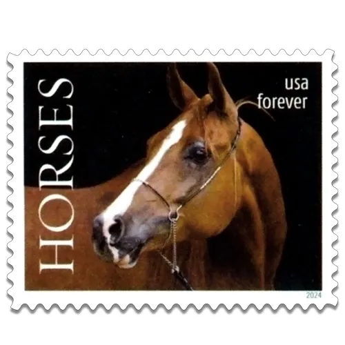 Horses