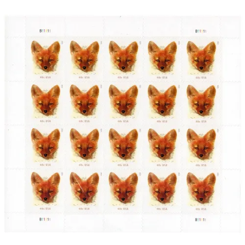 Red Fox
