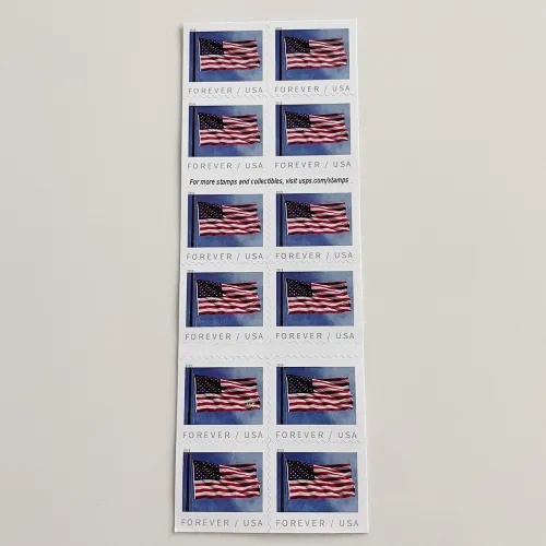 U.S. Flag 2019