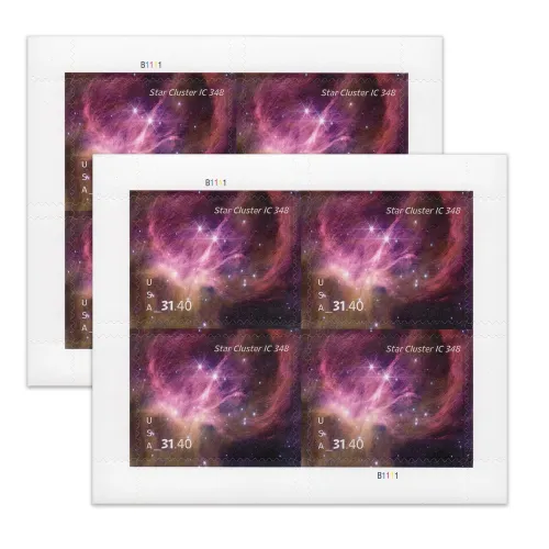 Star Cluster
