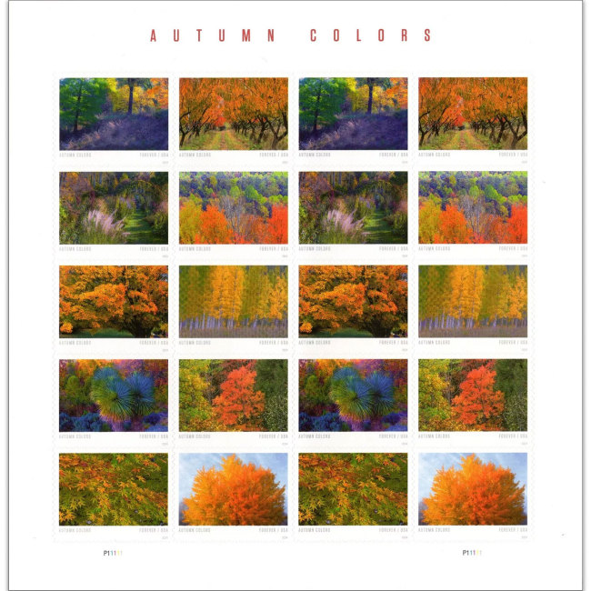 Autumn Colors