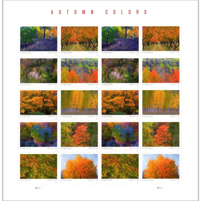 Autumn Colors
