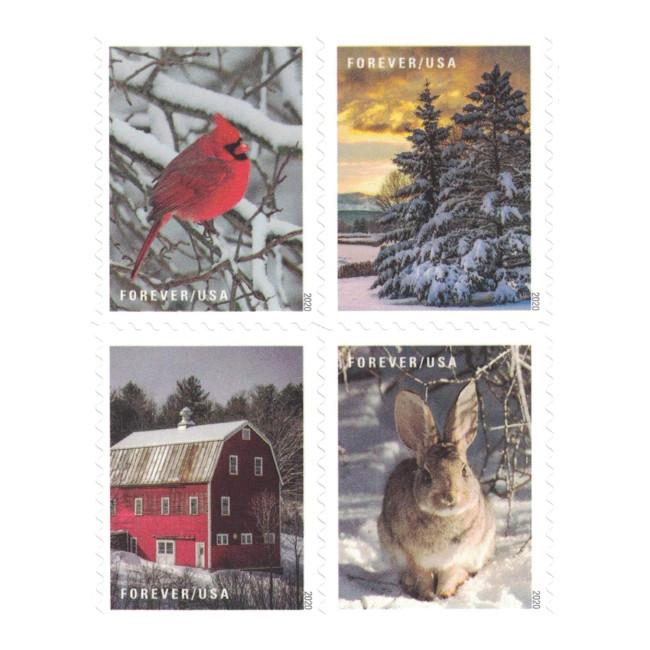 Winter Scenes