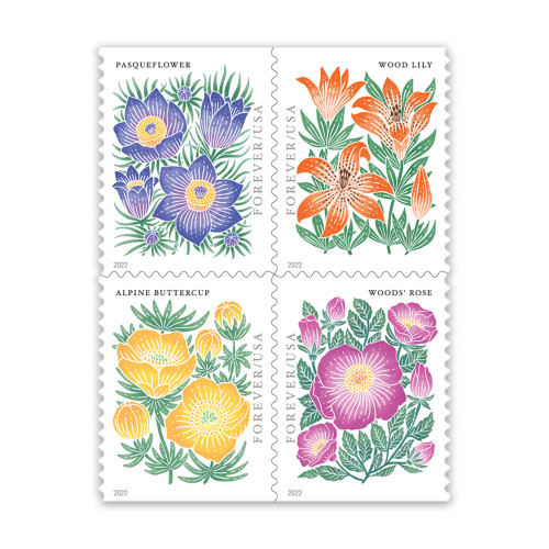 Mountain Flora