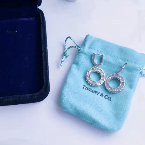 Tiffany Co Luxury Womens Earrings B806