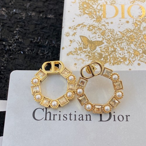 Dior Luxury Womens Earrings E1779