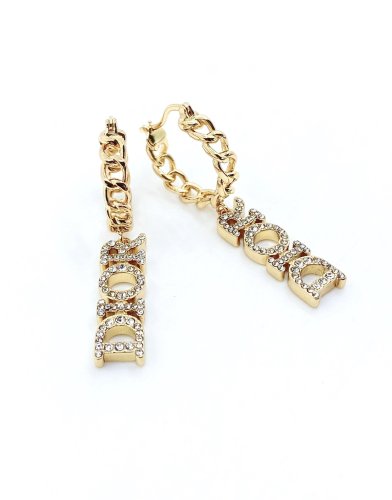 Dior Luxury Womens Earrings
