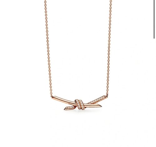 Tiffany Co Luxury Womens Necklace Earrings B301
