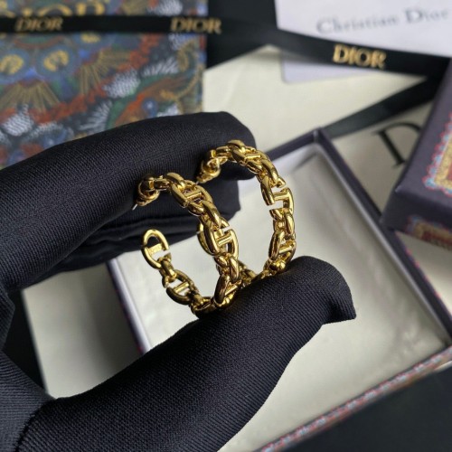 Dior Luxury Womens Earrings