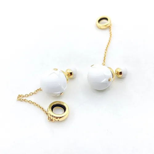 Dior Luxury Womens Earrings