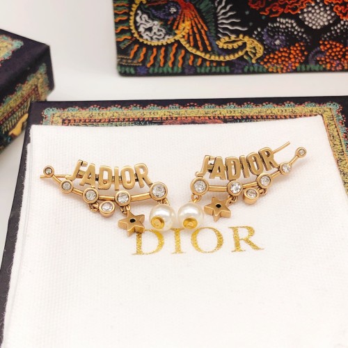Dior Luxury Womens Earrings DED0128