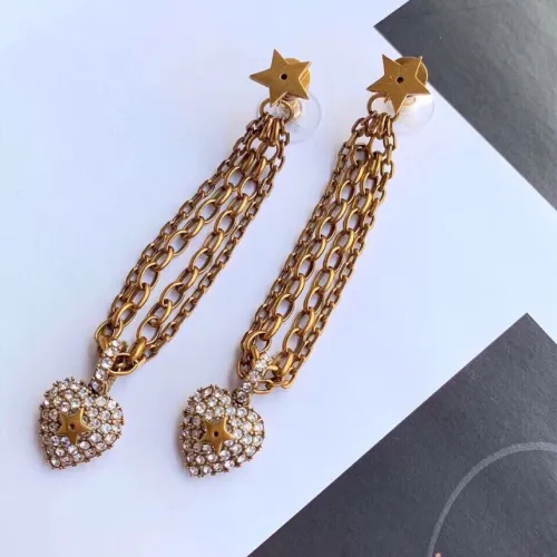 Dior Luxury Womens Earrings
