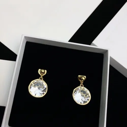 Loewe Luxury Womens Earrings