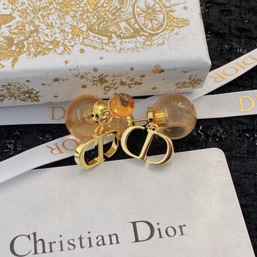 Dior Luxury Womens Earrings E1767