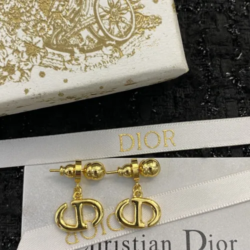 Dior Luxury Womens Earrings E1717