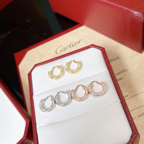 Cartier Luxury Womens Earrings B362