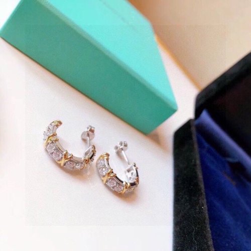 Tiffany Co Luxury Womens Earrings