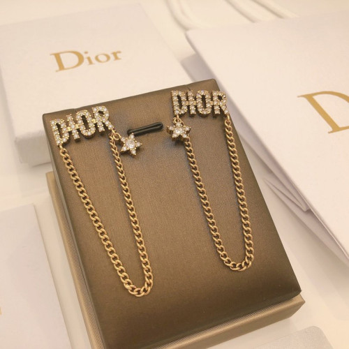 Dior Luxury Womens Earrings DED0034