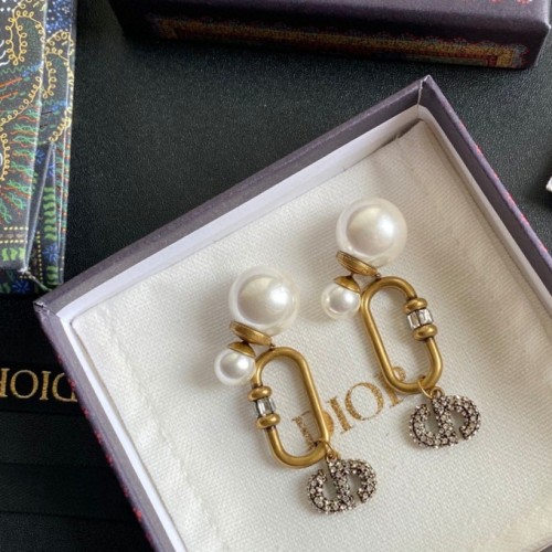 Dior Luxury Womens Earrings