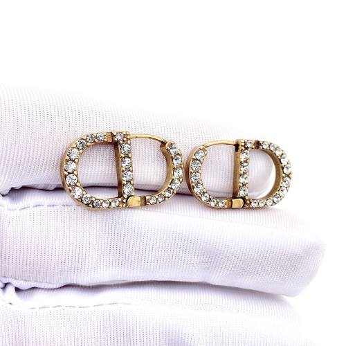 Dior Luxury Womens Earrings