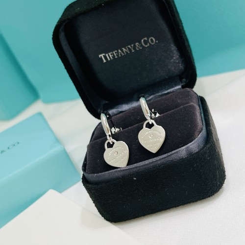 Tiffany Co Luxury Womens Earrings B780