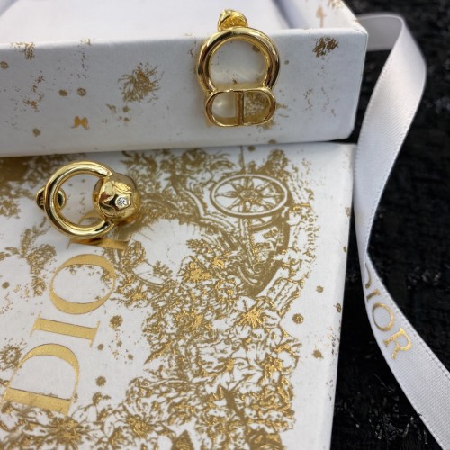 Dior Luxury Womens Earrings E1728
