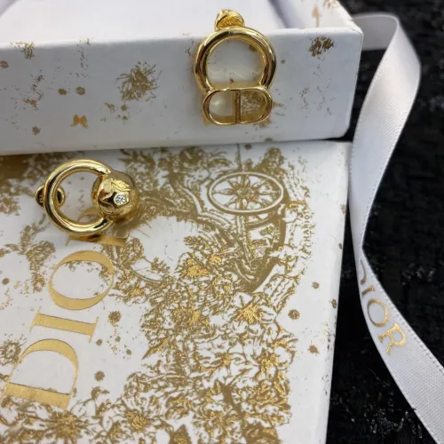 Dior Luxury Womens Earrings E1728