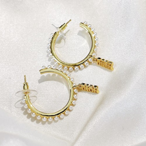 Dior Luxury Womens Earrings B264